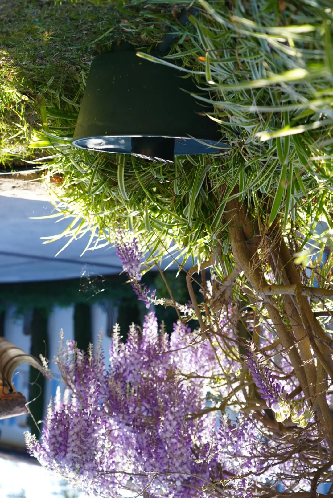 Borne BioBelt dans un jardin méditerranéen fleuri