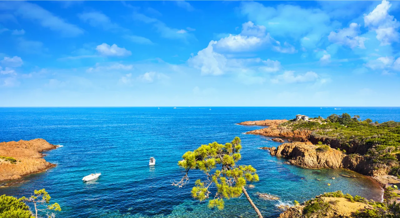Calanque de la côte varoise, eau turquoise et pins